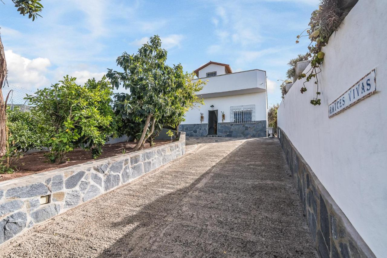 Raices Vivas Vivienda Vacacional Вега де Сан Матео Экстерьер фото